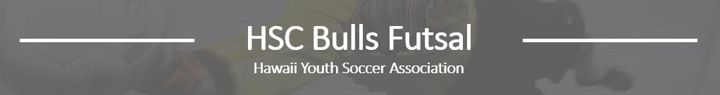 HSC Bulls Futsal banner